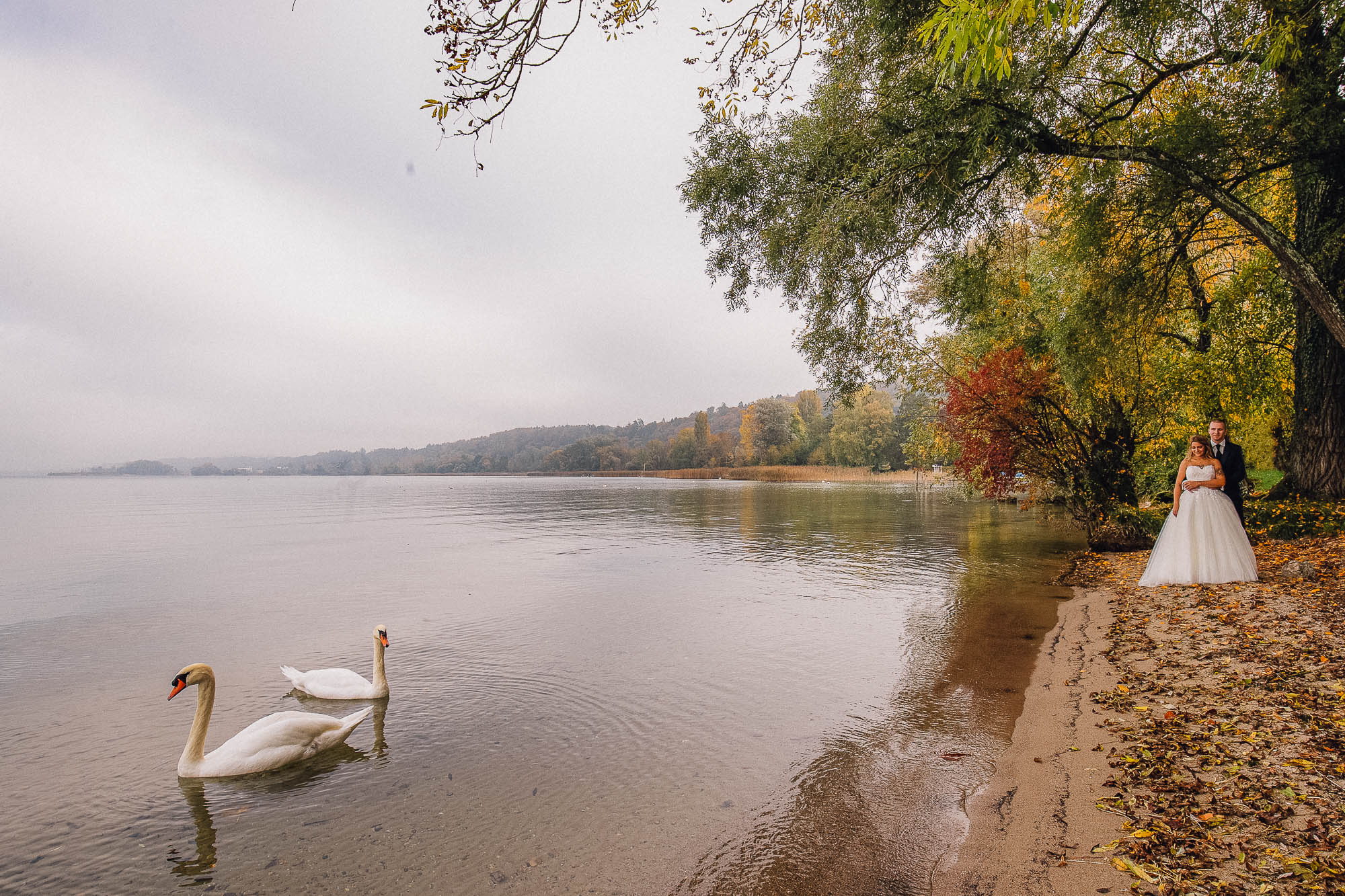 Export x3 1DX26327 Bearbeitet Hochzeit 2019 Tatjana und Hermann